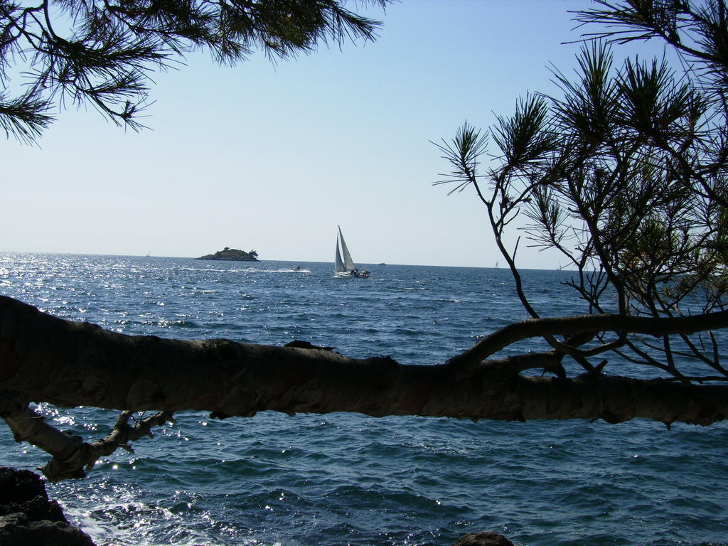 Apartments Carmelo Rovinj Bagian luar foto